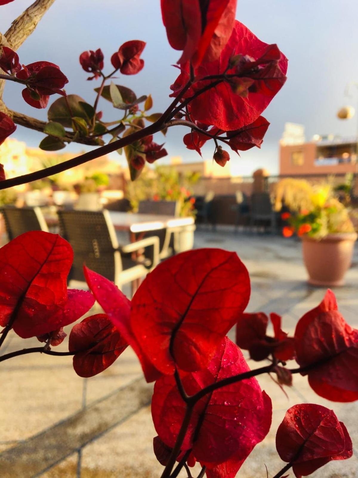 Hotel Riad Atlas Dades Boumalne Dades Exterior photo